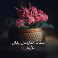 Qais Moh