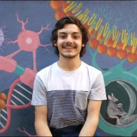 Santiago Fornasier