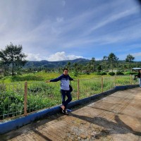 Andi Mansur Mappaewa