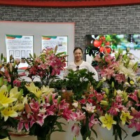 于来明