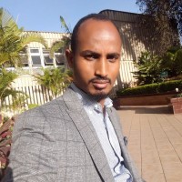 Ishetu Yonas Mengesha