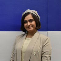 Sanaz Amini
