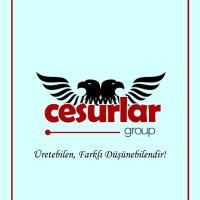 Samet Cesur