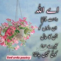Muhmmad Abuzar