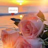 Sorif Hossain