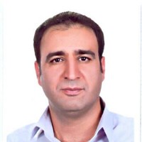 hassan omidi