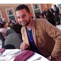 Taha Eltwansy