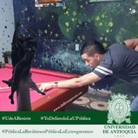 Edwin Bedoya