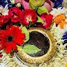 Ashok Mishra
