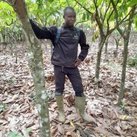 MOHAMMED AWAL