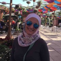 Noha Ammoury