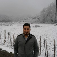 Mohammad Dashali