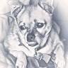 Tommy P