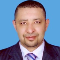 Mohamed M Badawi