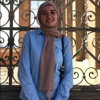 Haidy Elmogy