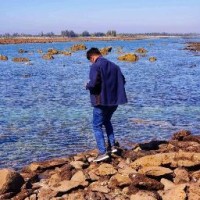 Adil Nibir