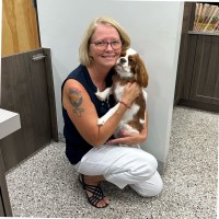Lori Krause