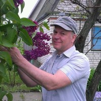 Mike Dizendorf