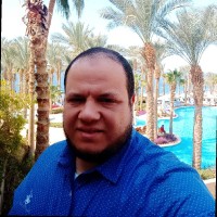 Amr Ibrahim Ali Henedi