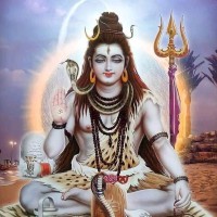 Neeraj Maseeh