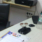 M.S. Chouhan