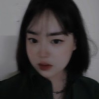 Huyen Anh Do