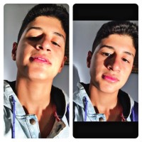 Mohamed Farid
