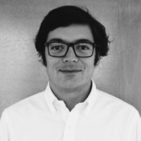 Pedro Andrade Harrison