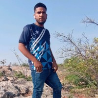 Nirbhay Singh Rawat King Sa Rajput