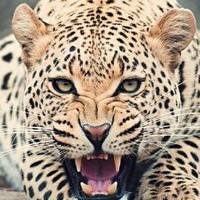 Christian David Soler Torres