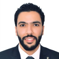 Nour Ashry