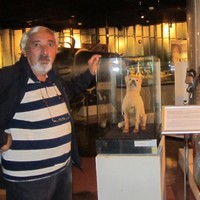 Sekulic Miljenko