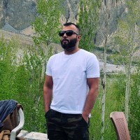 Faisal Ali Shah