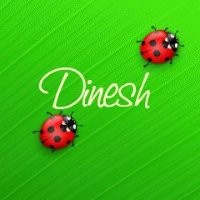 Dinesh Jain