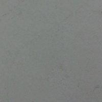 曹贺贺