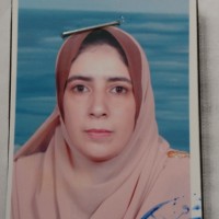 Hanan Osman