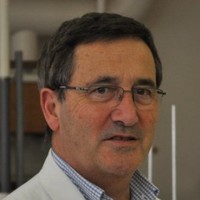 Adrian ENRIGHT