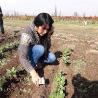 Javiera Cabrera Herrera