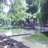 Lokas Medox