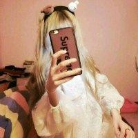 党梦新