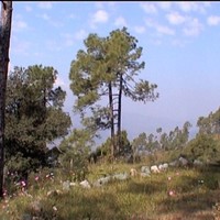 Kamla Devi
