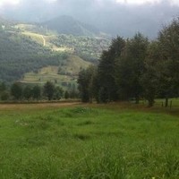 ERDİNC YAYLA