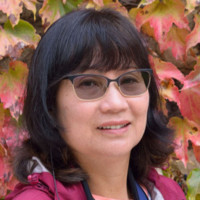 Van Bui