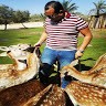 Ayman Abdelhay