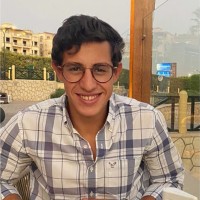 Aliueldeen Mansour
