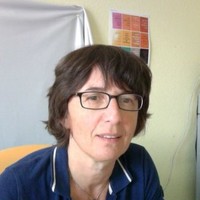 Sylvie Voineau Université Paris 8 - Formation Continue