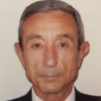 PEDRO PABLO PEREZ ALCAÑIZ