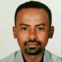 Deyaa Eldeen Babiker Elyamani