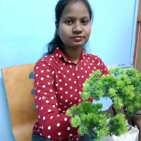 G Krishnaveni