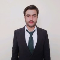 Zamin Ali